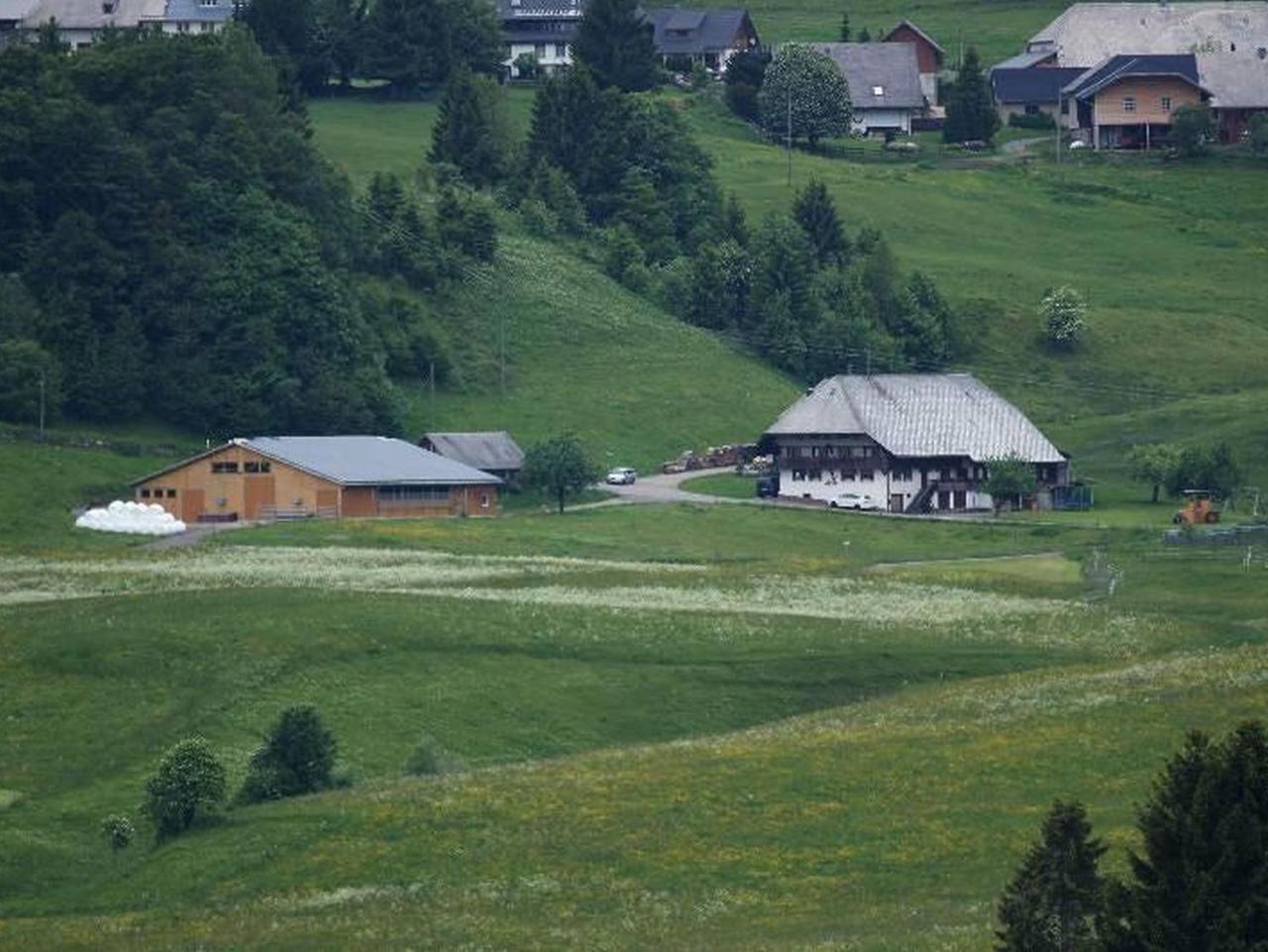 Buerschtehanse-Hof Ibach Exterior photo